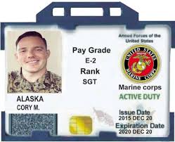 Employee id cards, student id cards, visitor id cards, club member id cards, and so. Newest Us Army Id Card Template 23