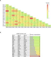 Frontiers | A Multiplex and Colorimetric Reverse Transcription  Loop-Mediated Isothermal Amplification Assay for Sensitive and Rapid  Detection of Novel SARS-CoV-2