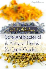 The ability to synthesize a wide variety of chemical compounds that are possibly used to perform important biological functions. 20 Safe Antibacterial And Antiviral Herbs A Quick Guide