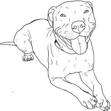 How To Draw A Pitbull Face Google Search Pitbull Art Dog Coloring Page Pitbull Drawing