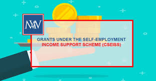 Published 13 may 2020 last updated 29 january 2021. Grants Under The Self Employment Income Support Scheme Cseiss