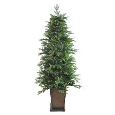 Check spelling or type a new query. Northlight 6 Pre Lit Potted Oregon Noble Fir Slim Artificial Christmas Tree Warm White The Home Depot Canada