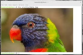 From wikimedia commons, the free media repository. What Is The Fastest Way To View Images From The Terminal Unix Linux Stack Exchange