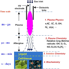 The three other states are solid, liquid, and gas. Plasma Medicine For Neuroscience An Introduction Chinese Neurosurgical Journal Full Text