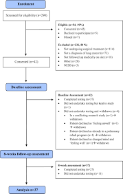 « » what is the california's board of nursing (brn) disciplinary process? Capacity A Physical Activity Self Management Program For Patients Undergoing Surgery For Lung Cancer A Phase I Feasibility Study Lung Cancer