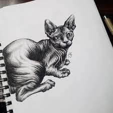 We did not find results for: My Sphynx Cat Pen Drawing Drawing