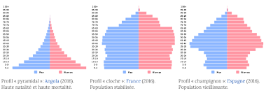 Les étapes à respecter et les erreurs à éviter pour. Decouvrez Les Differents Types De Graphiques Realisez Des Rapports Statistiques Clairs Et Impactants Openclassrooms