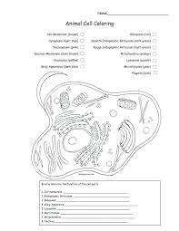 Use the colors indicated in the box. Biologycorner Com Animal Cell Coloring Key Plant Cell Coloring 28 Animal Cell Coloring Page In 2020 Animal Cells Worksheet Welcome To The Blog