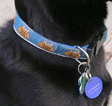 We are the largest specialized shop with electronic collars in central europe. Collar Animal Wikipedia