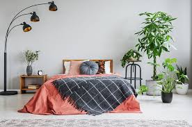 I had to buy it off him. 8 Best Bedroom Plants That Purify The Air Improve Your Sleep Quality Trees Com