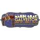 Mardi Gras! Galveston 2026 General Admission 2/6 event in Galveston, TX