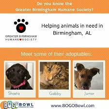 Greater Birmingham Humane Society Humane Society Food Animals Birmingham