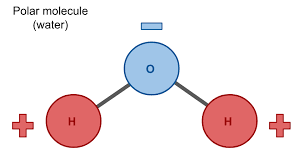 Many chemicals in existence exhibit some sort of molecular polarity, showing a strong tendency to either positive or negative containing two hydrogen atoms on a single side of an oxygen atom, water forms an imbalance in terms of weight and charge distribution at a molecular level. Saint Mary S Physics Demos Saint Mary S Physics Demos