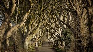 Visit Game Of Thrones Filming Locations Discover Northern Ireland