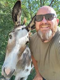 Are animals drawn to you? #vibehigh #healersofthelight #animallover