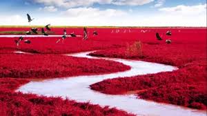 Top ten places to visit in the world. Top 10 Most Beautiful Tourist Places In The World Youtube