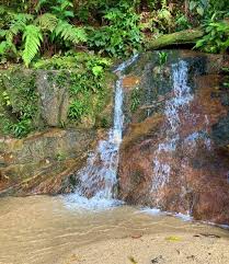 Bukit kiara mountain bike trail map. Bukit Kiara Haven For Jogging Walking Hiking And Cycling Aliran