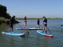 Paddle boarding- BSUPA Level 1 Ready to Ride