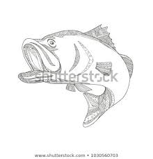 Pin On Animals And Wildlife