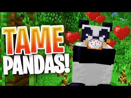 Minecraft How To Tame Pandas