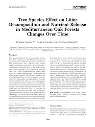 Robert mc kee story (pdf). Pdf Tree Species Effect On Litter Decomposition And Nutrient Release In Mediterranean Oak Forests Changes Over Time