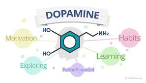 Image result for dopamine