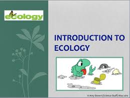 Maybe you would like to learn more about one of these? Amy Brown Science Teaching Ecology Post 2 Introduction To Ecology