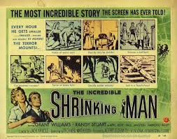 But recently i did a survey of books by richard matheson. The Incredible Shrinking Man Maveric Universe Wiki Fandom