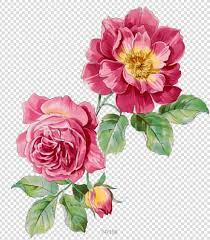 背景墙花 花纹 水墨花图片 flower illustration flower painting rose art drawing