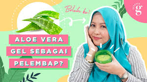 Take a look at the best products, pros & cons, and what to be aware of before buying them in a store! Aloe Vera Gel Bukan Pelembap Youtube