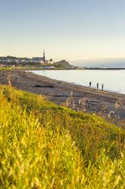 Cap Chat Municipalite Situee Entre Mer Et Montagnes Voyez La Plus Puissante Et Gigantesque Eolienne A Axe Vertical Au Monde Plant Species Habitats Landscape