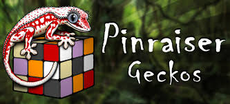 The government employees insurance company is an american auto insurance company with headquarters in chevy chase, maryland. Pinraiser Crested Geckos And Chahoua Pure Pine Island And Mainland