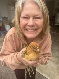 what breed of chick is this??