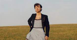 On the cover, styles dons a light blue gucci confection of a dress. Harry Styles Dress Why Bigotry Is Not Surprising Medium