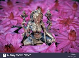 Find many great new & used options and get the best deals for lakshmi hindu göttin kunst handgefertigt indisch miniatur heilig religion deity at the best online prices at ebay! Gottin Lakshmi Die Hinduistische Gottin Von Gluck Und Schonheit Lotusbluten Thrissur Kerala Sudindien Asien Stockfotografie Alamy