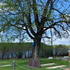 Mildred North Cemetery