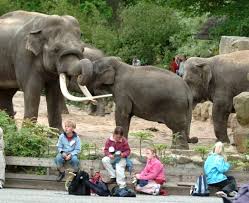 Mieten sie einen mietwagen in emmen zu preisen, die cdw, diebstahlversicherung, unbegrenzte kilometeranzahl. Wildlands Adventure Zoo Emmen