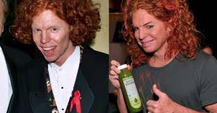 Pin On Carrot Top