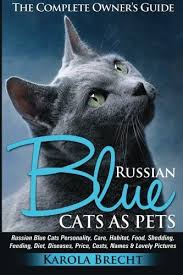 Russian Blue Cats As Pets Personality Care Habitat Feeding Shedding Diet Diseases Price Costs Russian Blue Cat Blue Cats Russian Blue Cat Personality