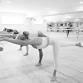 Rally for Runway: Belinda Gower Studio