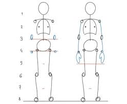 We did not find results for: Human Anatomy Fundamentals Basic Body Proportions