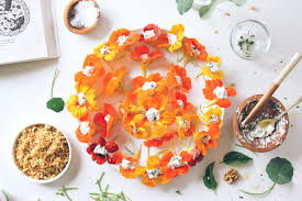 Image result for Nasturtium