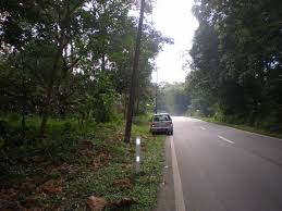 Mencoba spot baru dan pagi pagi sekali atok melawat satu reban ayam hutan dan burung merak yang diusahakan lebih dari 20 tahun. Silap Beli Tanah Untuk Buat Reban Ayam Maria Firdaus