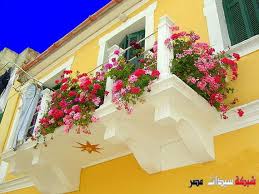 تنسيق نباتات البلكونات والنوافذ طريقة زراعة نباتات الزينة في البلكونات والنوافذ بالصور Balcony Planting 62cace4 Balcony Flowers Tiny Balcony Balcony Garden