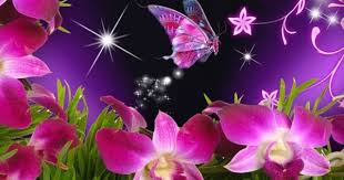 Natural 3d Images For Wallpaper With Butterfly And Flowers 1680x1050 Hd Wallpapers Wallpapers Download High Resolution Wallpapers Wallpaper Nature Flowers Butterfly Wallpaper Flower Wallpaper