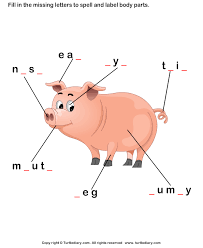 Learning body parts in spanish by guestf86404e 6438 views. Ov 7858 Pig Body Parts Diagram Free Diagram