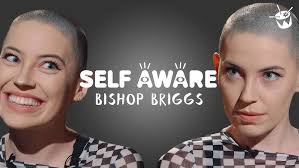 Bishop Briggs "Never Tear Us Apart" (INXS Cover)