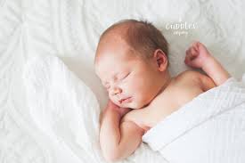 The Cuddles Company, LLC