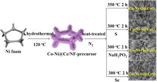 Alierris was raised in a small town called innsmouth. Selective Sulfuration Phosphorization And Selenylation A Universal Strategy Toward Co Ni M Ceo2 Nf M O S P And Se Interface Engineering For Efficient Water Splitting Electrocatalysis Sciencedirect