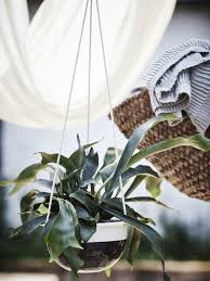 Ikea Nederland Interieur Online Bestellen Hangende Plantenbakken Ikea Plantenhanger